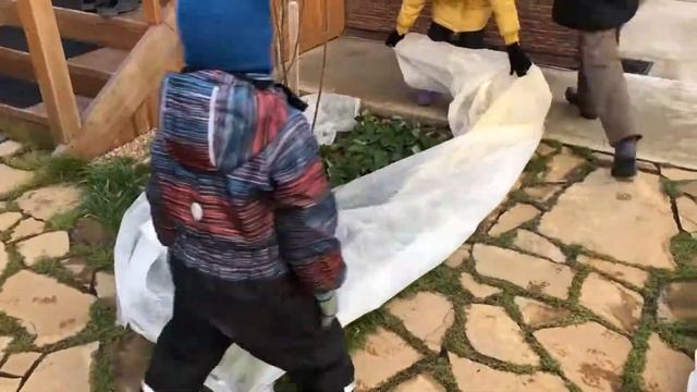 Укрываем ЗЕМЛЯНИКУ в зиму. смотреть онлайн