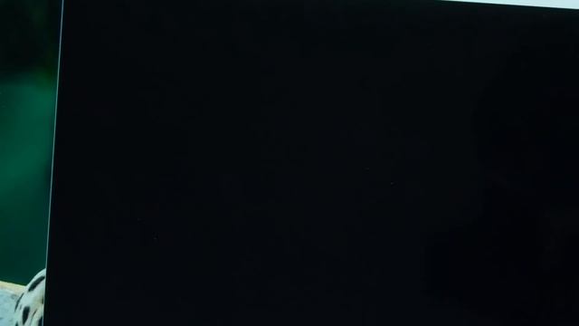 Windows 10 Review: The store смотреть онлайн