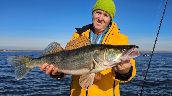 судачий день