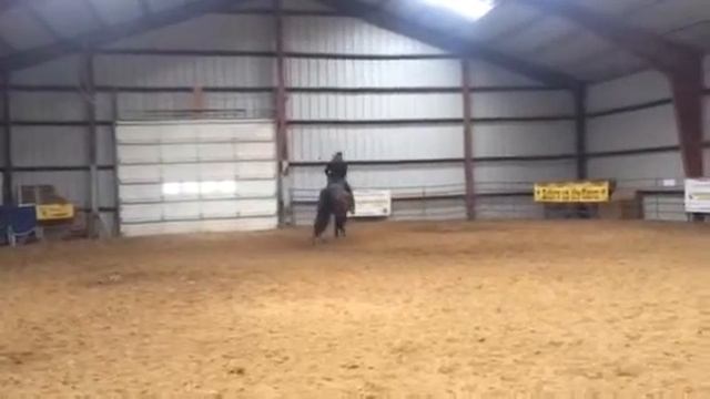 Ronda Holwell and Glider - barn drills смотреть онлайн