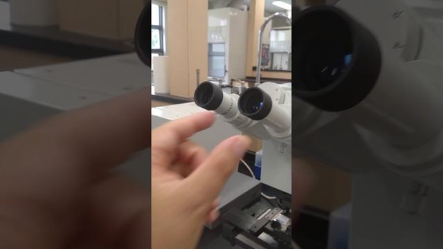 Step 9  How To Remove Eyepieces And Insert The Phase Telescope