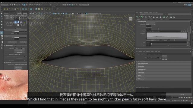 4.Grooming - The Peachfuzz смотреть онлайн