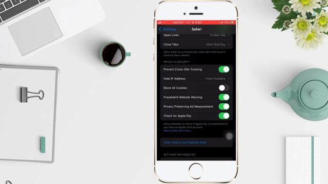 How to Clear Cache, History and Cookies on iPhone смотреть онлайн