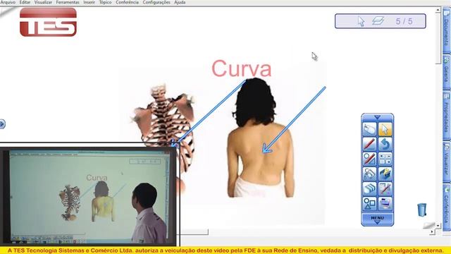 Trabalhando com o PowerPoint 3/6 смотреть онлайн