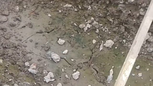 черви смотреть онлайн