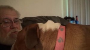 ЗЛОЙ ДЕД и собака