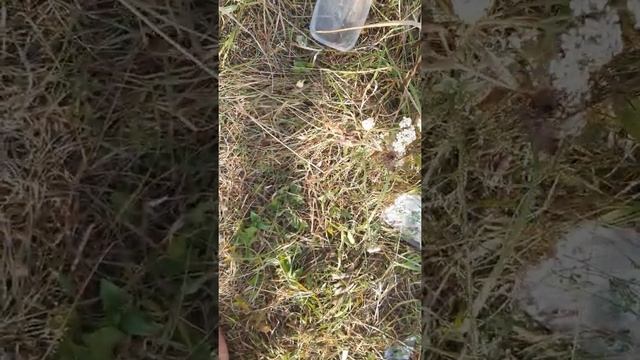 Щука касмастер за брюхо 18+ смотреть онлайн