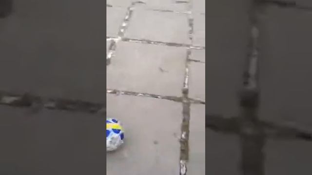 Джек-Рассел-футболист! смотреть онлайн