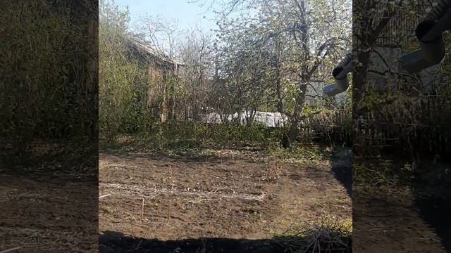 Рум тур по нашему саду🍒🍐🍎 смотреть онлайн