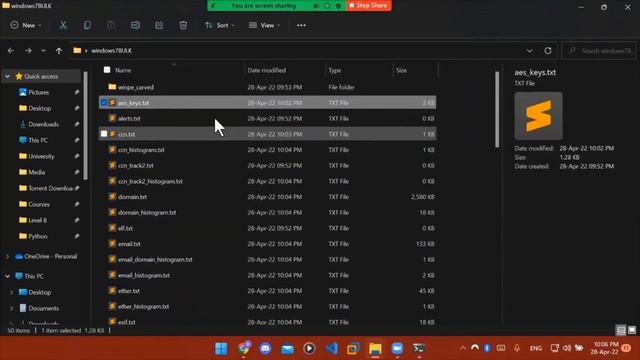 23 | Bulk Extractor смотреть онлайн