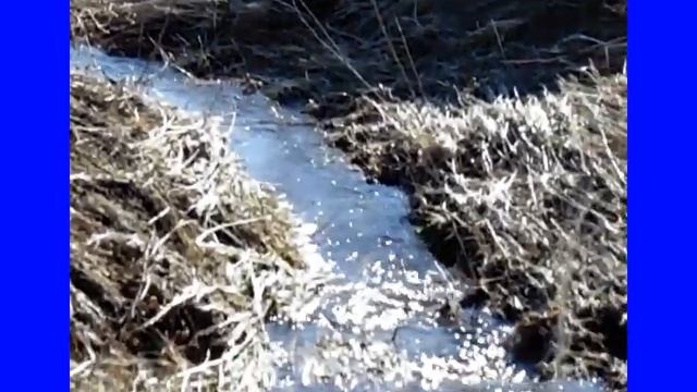 Шарлавык 2018 смотреть онлайн
