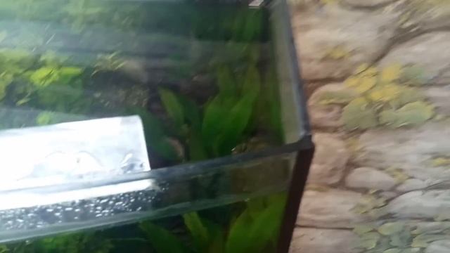 Аквариумный держатель шланга c aliexpress смотреть онлайн