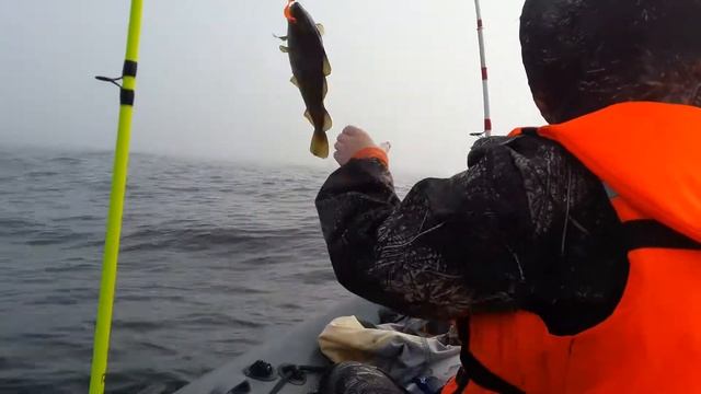 Ловля трески смотреть онлайн