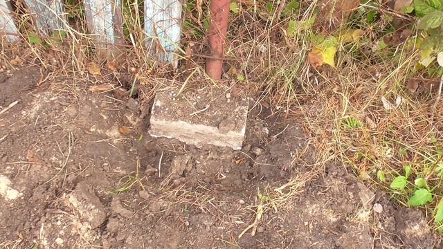 Дача. Ремонт забора. Часть 1. Обзор старого забора из сетки рабица. 29.09. 2024 г.