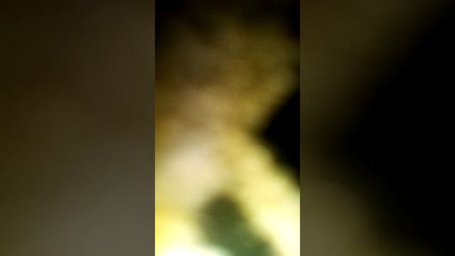 iphone 5 s и планшет смотреть онлайн