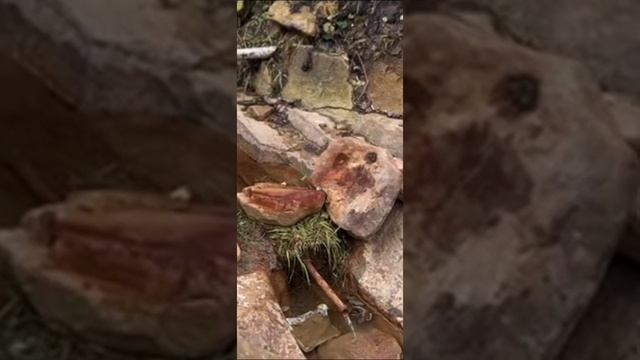 Аманкол смотреть онлайн