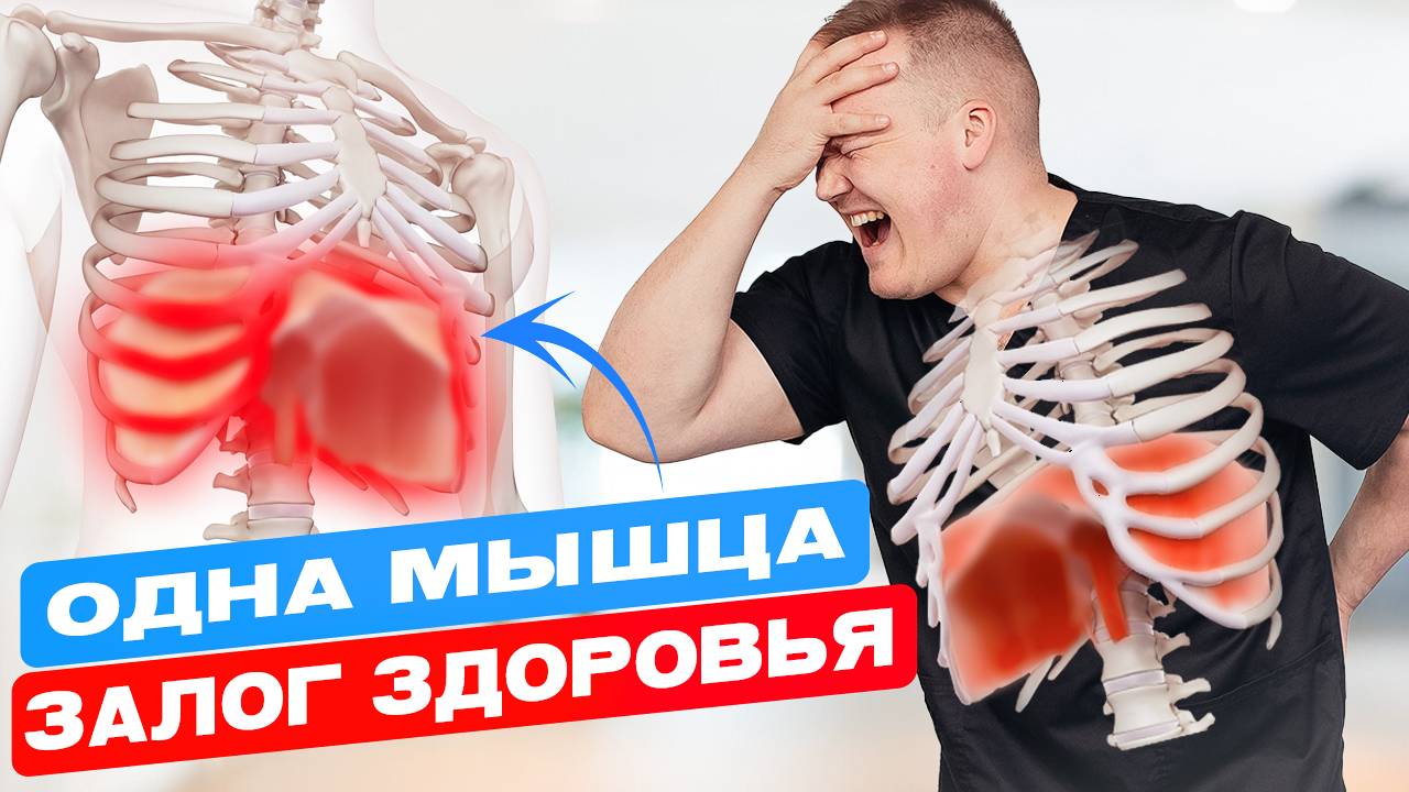 Главная причина СПАЗМ ДИАФРАГМЫ, 3 упражнения для быстрого ОБЛЕГЧЕНИЯ дыхания смотреть онлайн