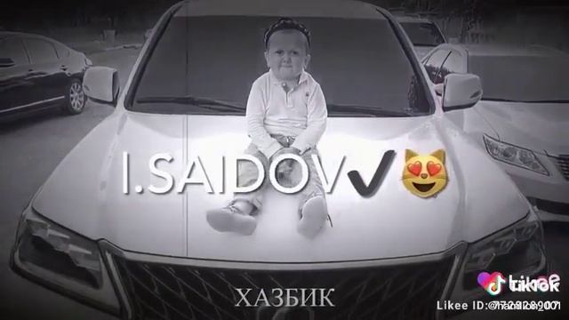 Хасбик смотреть онлайн