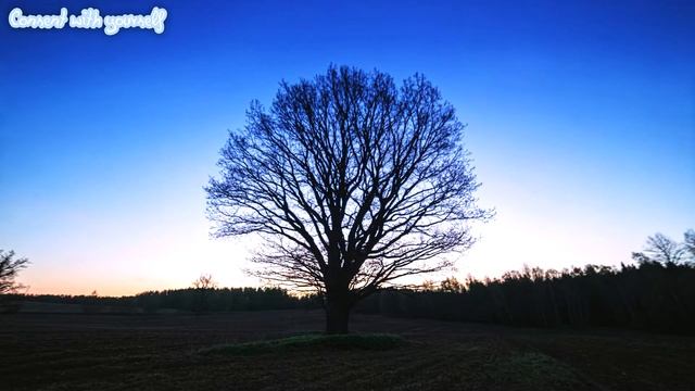 William Walker Atkinson | The Law of Attraction in the Thought | audiobook смотреть онлайн