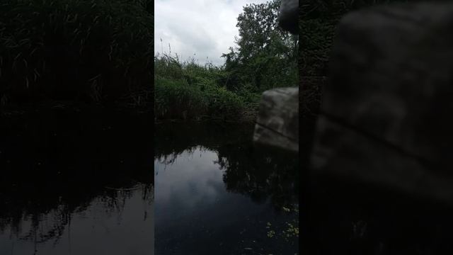 рибалка смотреть онлайн