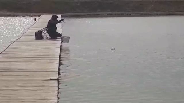 Понедельник - вип - форель смотреть онлайн