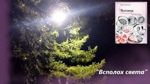 Вскрыть реальность через "Всполох света"... Открыть, светить и не сдаваться!