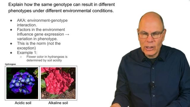 The Environment Changes How Your Genes Are Expressed! смотреть онлайн