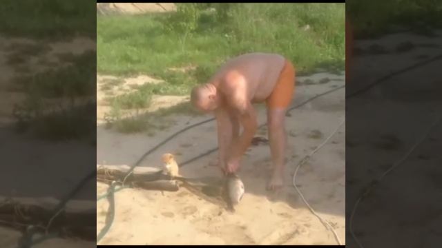 Ловля неводом. смотреть онлайн