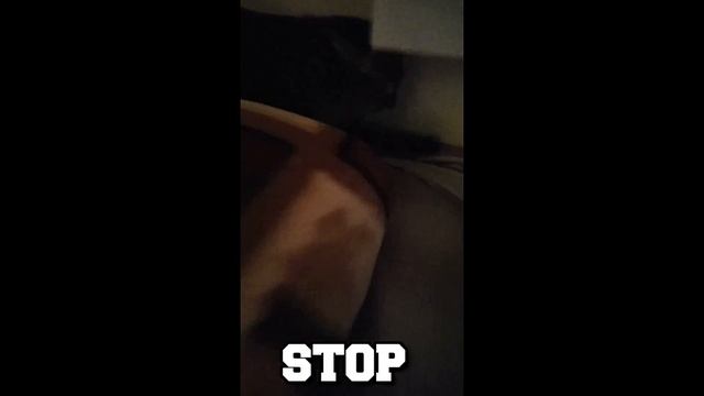 My cats obsession with windows... lol смотреть онлайн