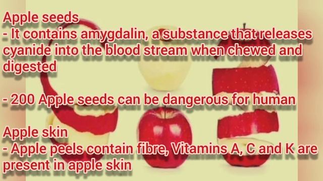 One slice apple nutrition | Apple calories | How many apple seeds | Top 10 Apple recipes | Fruit смотреть онлайн