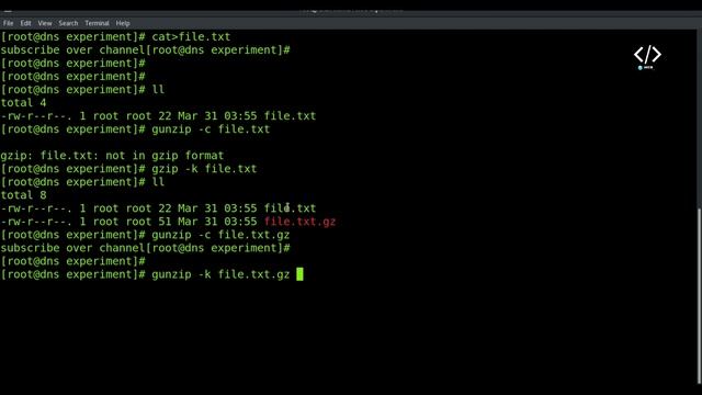 gunzip Command In Linux In Hindi | Linux File Backing and Compress | Linux Command | class #6 смотреть онлайн