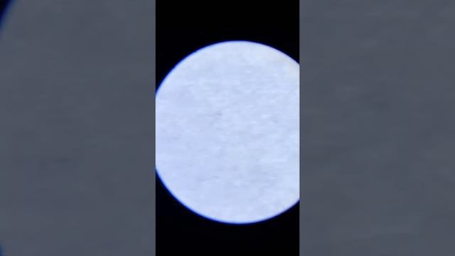 деньги под микроскопом смотреть онлайн