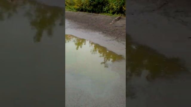 Сижу на рыбалке и увидел рака смотреть онлайн