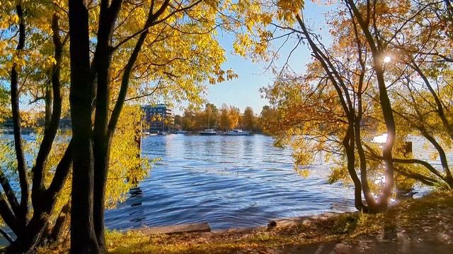 Осенняя прогулка по Елагину острову. смотреть онлайн