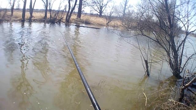 Уклейка жор на поплавок смотреть онлайн