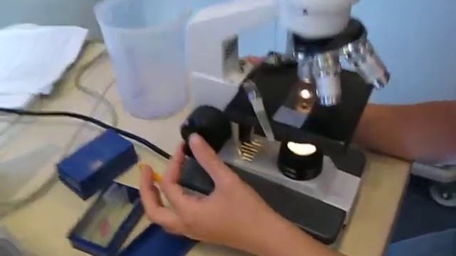 How To Use A Microscope