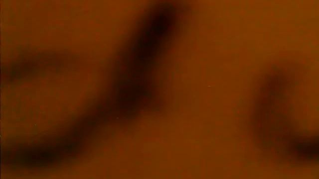 Jiusion Microscope Video 2