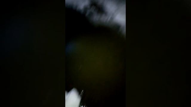Начало рыбалки смотреть онлайн