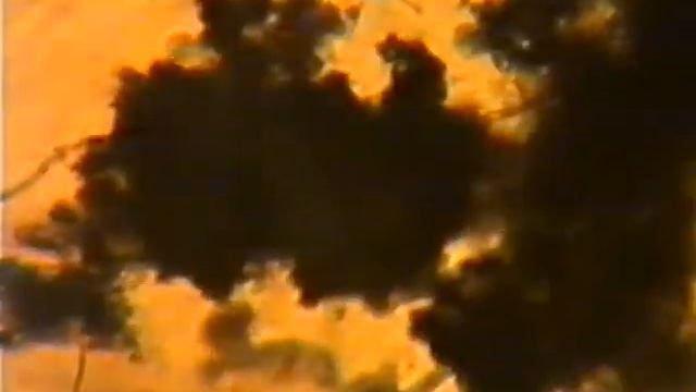 1999 год Видеозапись через микроскоп смотреть онлайн