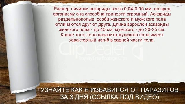 Какой Длины Может Достигать Аскарида