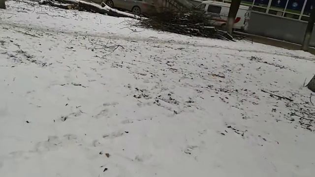 пр победы16!!!все по честному!мусор всем виден!!! смотреть онлайн