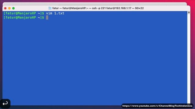Install space vim pada GNU Linux Manjaro ID20220417 смотреть онлайн