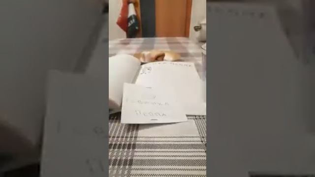 Бумажные сюрпризы, новинки. Извините что ночью видео. смотреть онлайн