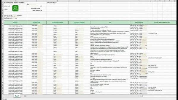 Детализация Whatsapp что она содержит?