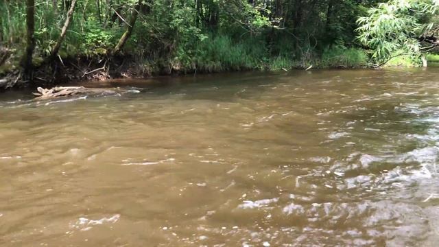 Рыбалка на ручье. В надежде поймать хариуса. смотреть онлайн