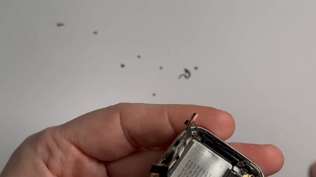 Apple Watch Series 5 40mm Teardown смотреть онлайн