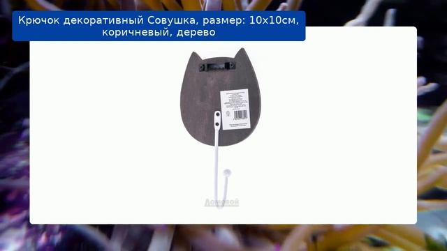 Крючок декоративный Совушка, размер: 10х10см, коричневый, дерево смотреть онлайн