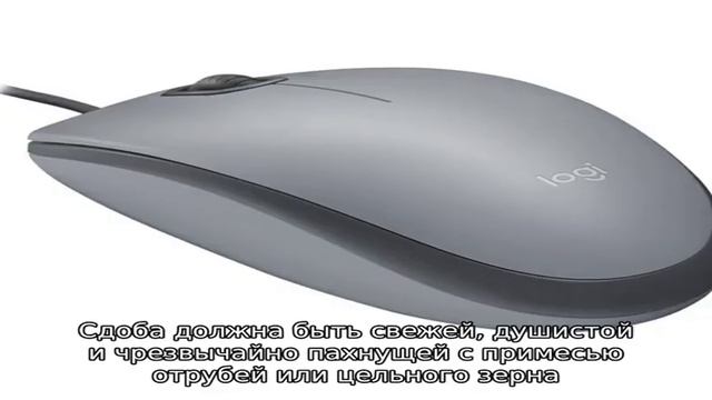 Выбор лучшей приманки для мышей смотреть онлайн