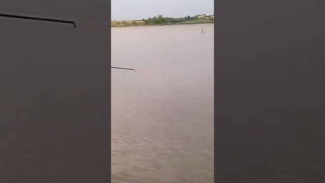 Сегодня клюет смотреть онлайн