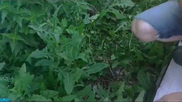 Все о аккумуляторных триммерах|Полный гайд